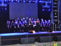 Met hart en smart, Festival aan de Vecht 10