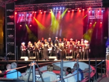 Met hart en smart, Festival aan de Vecht 25