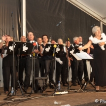 methartensmartboerhaarbrunc (11)