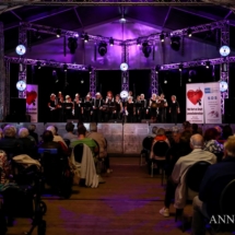 Meezingmiddag_met_Hart_en_Smart_2018-14