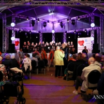 Meezingmiddag_met_Hart_en_Smart_2018-47