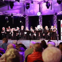 mhes bruisend5