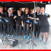 Goede Maatjes Raalte Met Hart en Smart 15-6-2019 (17)