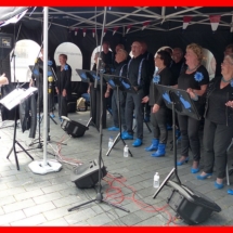 Goede Maatjes Raalte Met Hart en Smart 15-6-2019 (19)