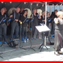 Goede Maatjes Raalte Met Hart en Smart 15-6-2019 (27)