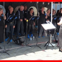 Goede Maatjes Raalte Met Hart en Smart 15-6-2019 (28)