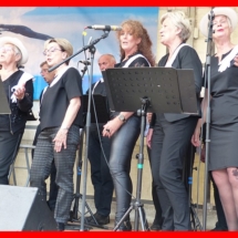 Goede Maatjes Raalte Met Hart en Smart 15-6-2019 (40)