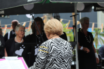 MHES Haarle Droadnagel 100722 (17)