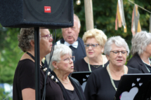 MHES Haarle Droadnagel 100722 (19)