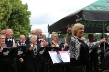 MHES Haarle Droadnagel 100722 (26)