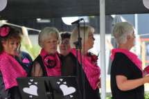 MHES Haarle Droadnagel 100722 (37)