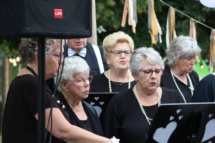 MHES Haarle Droadnagel 100722 (4)