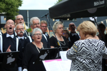 MHES Haarle Droadnagel 100722 (6)