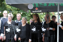 MHES Haarle Droadnagel 100722 (7)